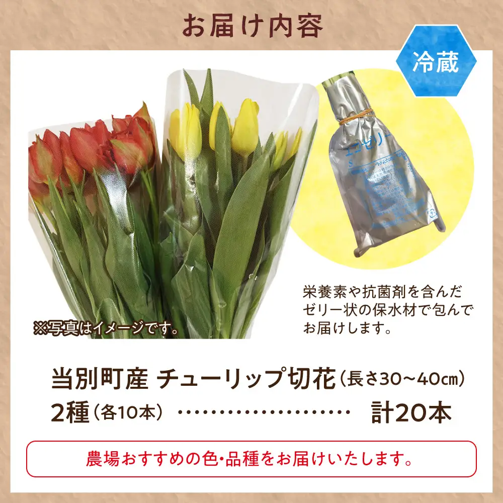 チューリップ 切花 20本（2品種×各10本）四季農場 花 お花 チューリップ 切り花 切り花産地  北海道 当別町