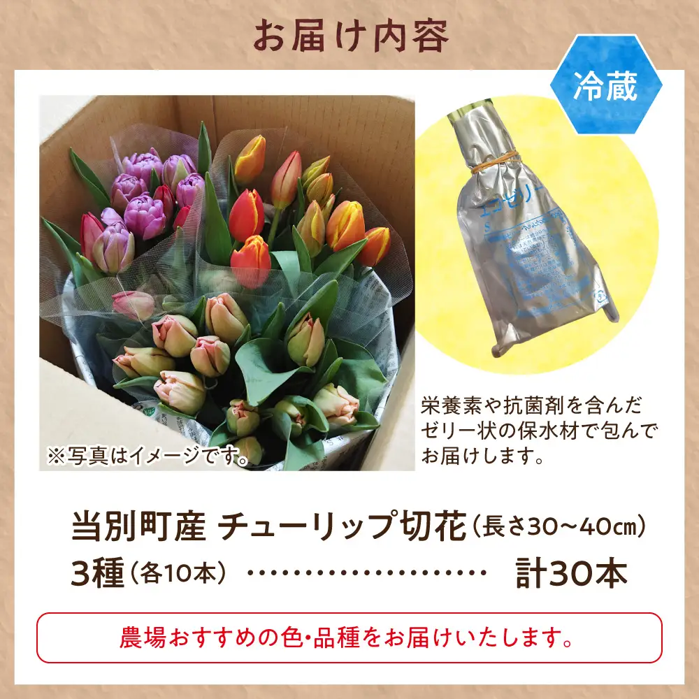 チューリップ 切花 30本（3品種×各10本）四季農場 北海道 当別町 花 お花 チューリップ 切り花 切り花産地 