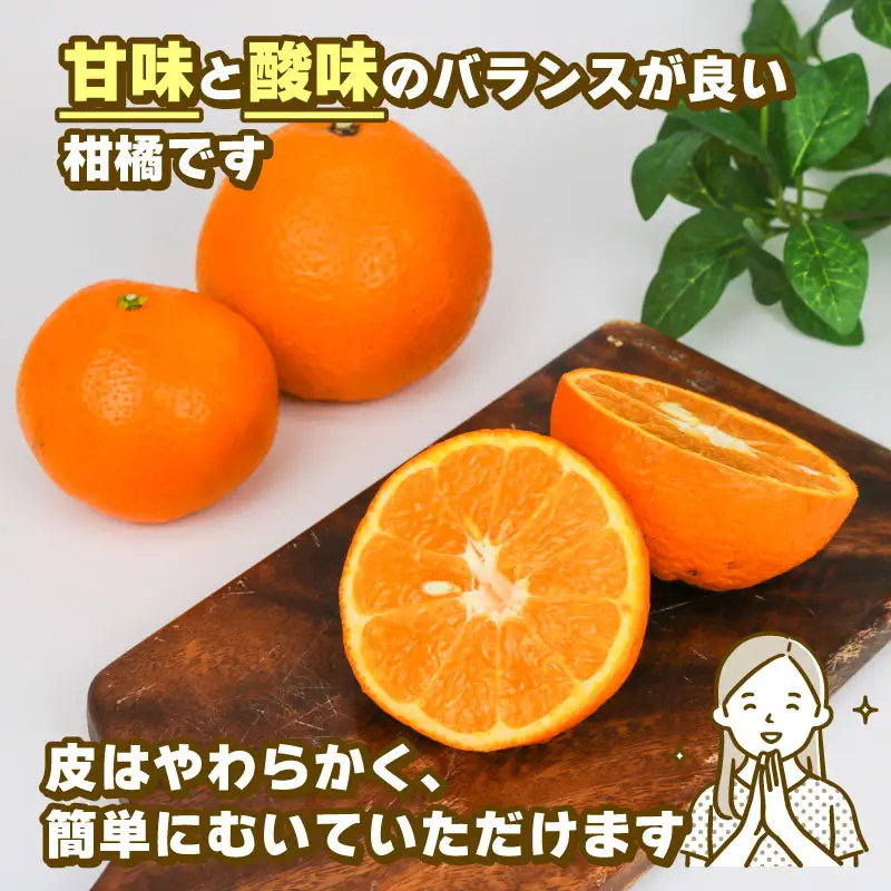 訳あり いよかん 8kg みかん 玉津柑橘倶楽部 先行予約 みかん B010-072032