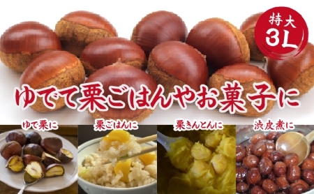 栗 「須木栗」3Lサイズ 1kg程度 栗