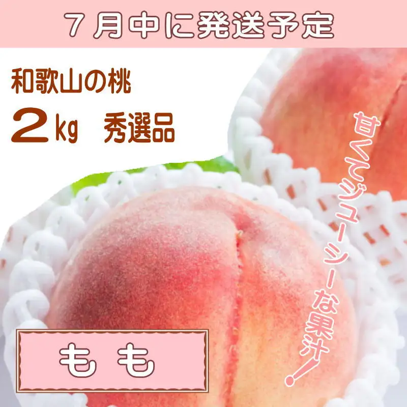 【定期便】夏をお届け！フルーツ定期便！小玉すいか・桃・ピオーネ（全3回）/ フルーツ 果物 すいか ひとりじめ7 もも モモ ぶどう ブドウ  旬 定期便  【tkb345】