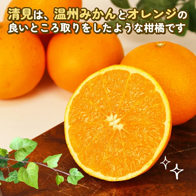 訳あり きよみ 8kg 玉津柑橘倶楽部 きよみ B010-072033