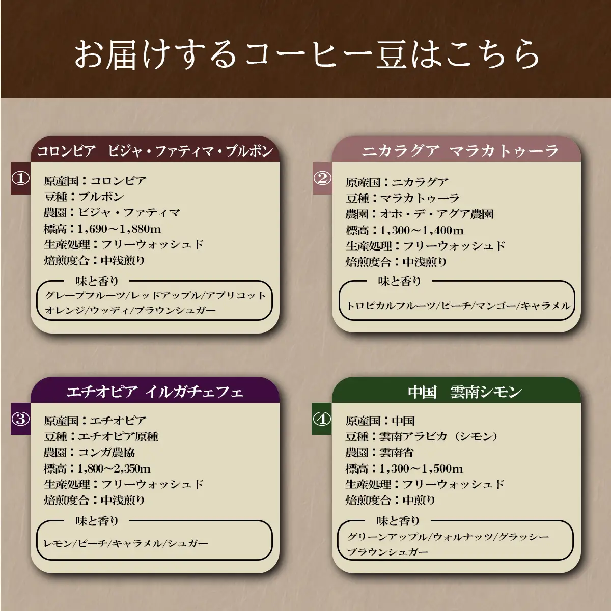 庭Cafe おすすめコーヒー豆 100g × 3種 【 コーヒー 自家焙煎 焙煎 コーヒー豆 おすすめ ギフト ｺｰﾋｰ 珈琲 ｺｰﾋｰ 】