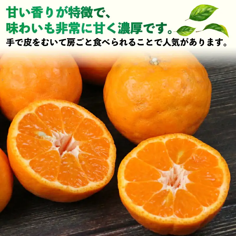 訳ありﾎﾟﾝｶﾝ 9kg 河野農園 みかんﾎﾟﾝｶﾝﾎﾟﾝｶﾝﾎﾟﾝｶﾝﾎﾟﾝｶﾝﾎﾟﾝｶﾝ B010-147005