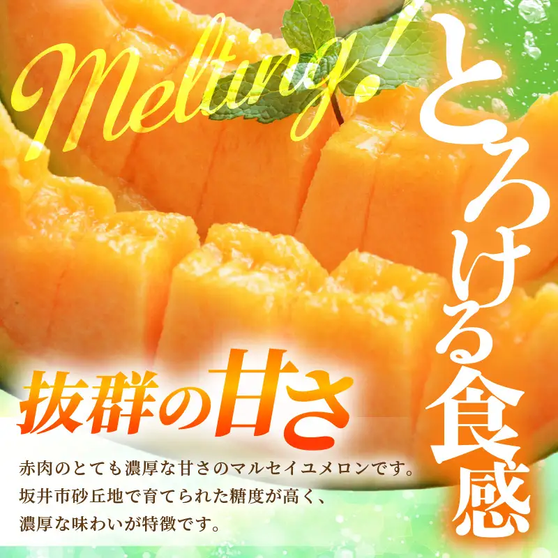マルセイユメロン 4L 2玉 化粧箱入り 2027年6月中旬以降順次発送 メロン フルーツ 赤肉 贈答 ギフト [A-19111]
