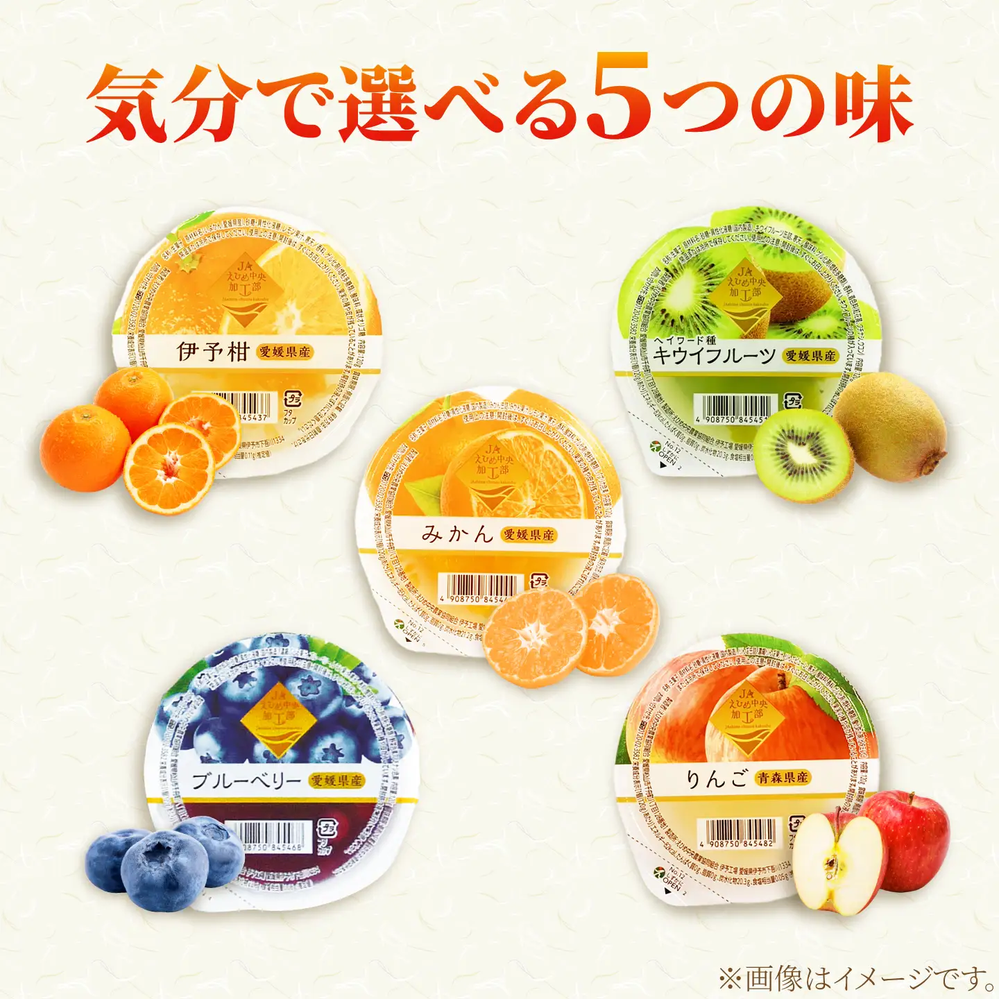 ゼリー カップゼリーまるごと果樹園詰め合わせ 5種12個セット( 伊予柑 みかん りんご キウイフルーツ ブルーベリー )/ 柑橘 ゼリー 果肉 果実 果汁 果物 フルーツ 国産 愛媛県産 スイーツ おやつ ギフト お中元 / 愛媛県砥部町/えひめ中央農業協同組合[BJCG010]