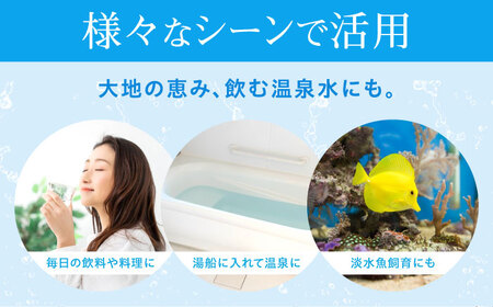 飲料 水 ミネラルウォーター 巌聖水6500 10L×2箱入り 広島県福山市/小林商事 ミネラルウォーター ペットボトル 10l 10リットル 保存用 備蓄 防災 [BAEA014]