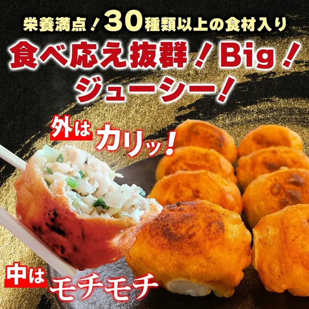 餃子のはながさ ホワイト餃子 16個×2パック お試し 冷凍 中華 点心 B級グルメ ご当地 野菜 おつまみ おかず 簡単調理 時短 リピート 保存 豚肉 特製 ポーク 大きめ ジューシー ギフト お取り寄せ 日高市