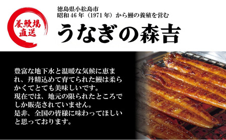 特上うなぎ 蒲焼 国産 3尾 約480g うなぎ