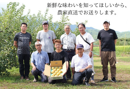 KW03 梨 豊水 贈答 約3kg（6～9玉） 長野県松川町産／9月中旬頃～順次発送予定//長野県 南信州 松川町 和梨 梨 なし ナシ 約3㎏ 豊水 産地直送 農家直送 農家支援 贈答 果物 フルーツ 甘い
