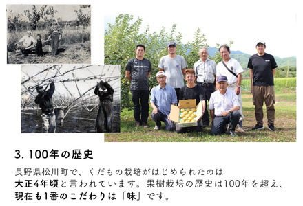 KW04 梨 二十世紀 贈答 約3kg（5～9玉） 長野県松川町産／9月中旬頃〜順次発送予定//長野県 南信州 松川町 和梨 梨 なし ナシ 20世紀 約3㎏ 産地直送 農家直送 農家支援 贈答 二十世紀 果物 フルーツ