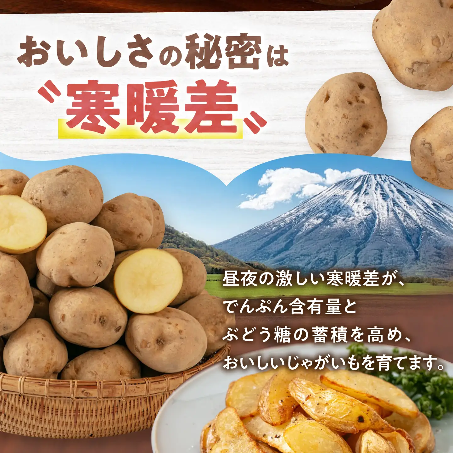 【全3回定期便】【10月〜12月発送】男爵芋 10kg [AJAK021] じゃがいも 