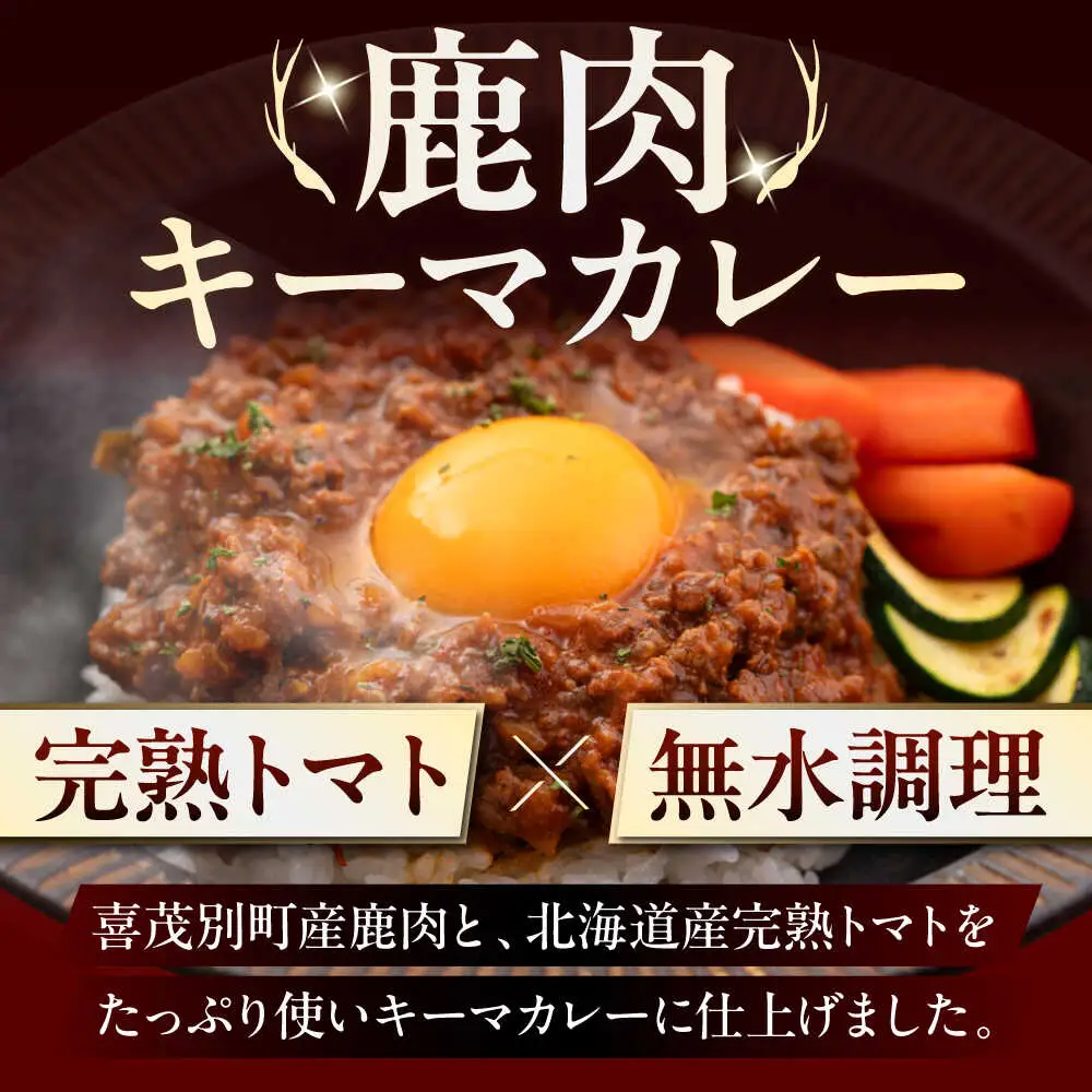 【全2回定期便】エゾ鹿 本格 キーマカレー  10食 ジビエ  スパイス 鹿肉 無水調理 パック 冷凍配送 北海道 [AJAO018]