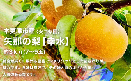 【先行予約】木更津市産　矢那の梨【幸水】〈安西梨園〉 / ふるさと納税 フルーツ 果物 くだもの 梨 ナシ なし 季節 旬 産地直送 送料無料 千葉県 木更津市 KCO001