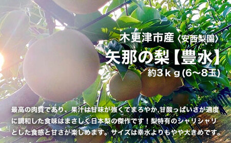 【先行予約】木更津市産　矢那の梨【豊水】〈安西梨園〉 / ふるさと納税 フルーツ 果物 くだもの 梨 ナシ なし 季節 旬 産地直送 送料無料 千葉県 木更津市 KCO002