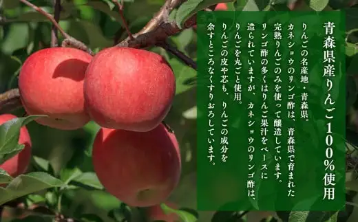 無添加 ハラール認証 はちみつりんご酢 500ml×2本 青森県産[hi-0013-005]