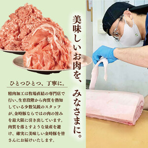 金時豚 豚肉 4種 豚肉 