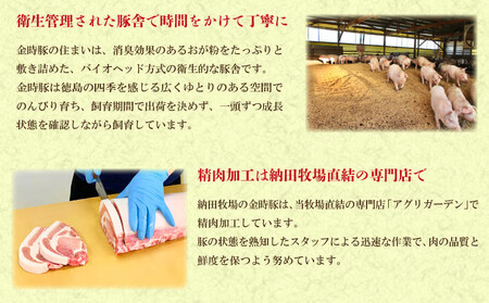 豚汁 レトルト 5箱 (220g×5) 【 とん汁 】