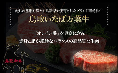 鳥取いなば万葉牛 シャトーブリアン・サーロインステーキセット（約150g×2） 鳥取和牛 国産 万葉牛