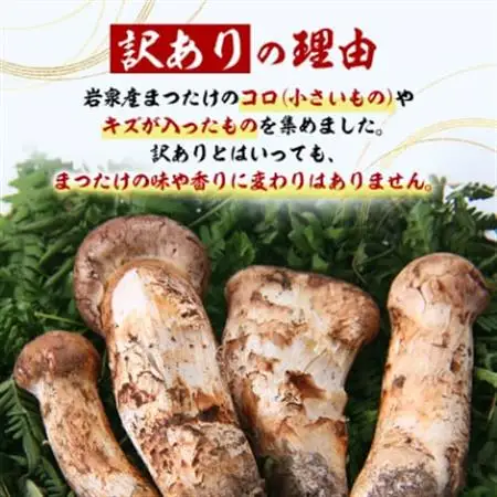 【2026秋発送】【訳あり】ご家庭用 岩泉まつたけ 直送 300g_野菜 松茸 きのこ まつたけ マツタケ_【配送不可地域：離島】【1423400】