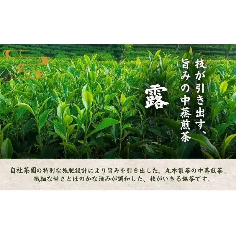 茶匠 本夛利吉 作　高級煎茶【黄金の露　本夛】 飲料類 お茶 日本茶 緑茶 茶葉 5パックセット 
