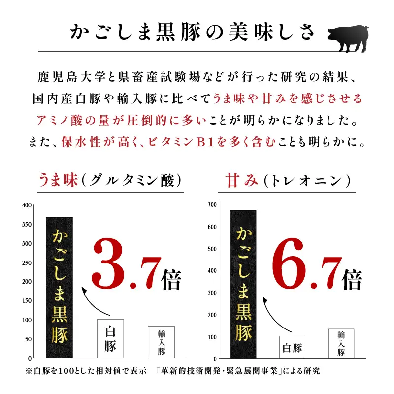 【 10営業日以内に発送 】 鹿児島黒豚 ・ 熟成 魚節出汁 しゃぶ セット K265-002 肉 豚肉 冷凍 スピード配送 最短 すぐ届く お急ぎ