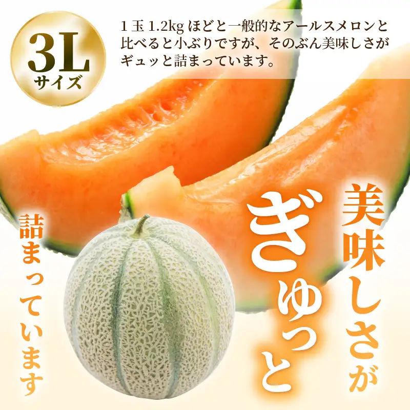 マルセイユメロン 2玉 (1玉 約1.2kg前後) 2027年6月中旬以降順次発送 めろん フルーツ [A-19008]