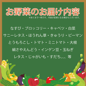 定期便 年2回 新鮮 旬の野菜セット 5から7品目 野菜 野菜 野菜 野菜 野菜 野菜