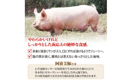 国産 豚肉 アイスバイン 700g (350g×2) レトルト ハム アイスバイン