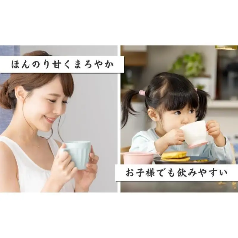 和紅茶ティーバッグ2g×20ヶ入×6袋 飲料類 お茶 セット 