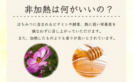 先行予約 はちみつ 蜂蜜 非加熱 600g 国産 無添加 天然 ハニー シロップ 健康 美容 常温保存 保存食 防災 備蓄 百花蜂蜜 百花はちみつ 純粋はちみつ 生はちみつ 天然はちみつ ヨーグルト アイス ゼリー ケーキ ジュース 洋菓子 和菓子 デザート スイーツ 焼菓子 ギフト プレゼント 贈答用 送料無料 徳島県 阿波市 影山養蜂研究所
