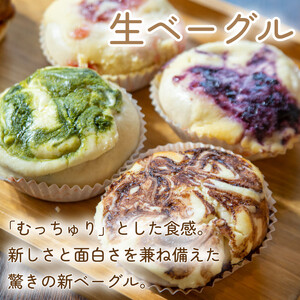 ベーグル 8個セット 種類おまかせ 詰合せ 【 ベーグル 】
