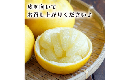 訳あり 文旦 柑橘 ブンタン 4kg 家庭用 数量限定 蜜柑 みかん 果物 フルーツ 阿波市 徳島県