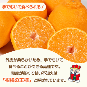 【 不知火 】 先行予約 不知火 しらぬい 3kg みかん 蜜柑