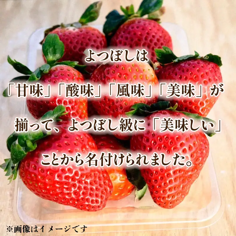 いちご よつぼし 850g 訳あり 苺 【 いちご 】