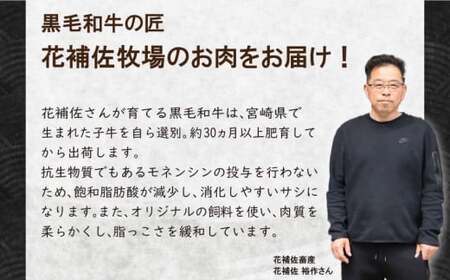ハラミ 国産 500g 牛肉 黒毛和牛 冷凍 30000円 3万円