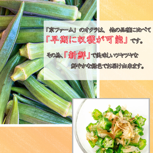 野菜 オクラ 約 1kg 以上 《 先行予約 5月下旬～発送開始》 夏野菜 阿波市産 徳島県