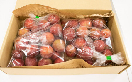 訳あり フルーツ すもも 桃 モモ 1kg 以上 先行予約 プラム 甘い 小ぶり 家庭用 阿波市産 徳島県 産地直送 農家直送 生産者直送 四国