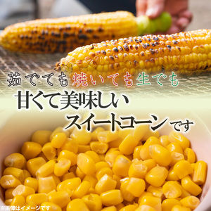 野菜 とうもろこし スィートコーン おおもの 約5kg 夏野菜 数量限定 高糖度 農家直送 朝採れ 産地直送 新鮮 旬 コーン サラダ 焼きとうもろこし クール便 ギフト 贈り物 お取り寄せ ご当地 特産物 生産者直送 2024年発送 令和6年産 徳島県 阿波市 四国