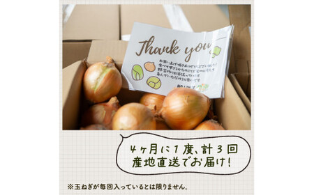 定期便 4回 訳あり 野菜 4～6種 詰合せ セット 旬野菜 やさい レタス グリーンリーフ サニーレタス ロメインレタス キャベツ 赤キャベツ 大根 ニラ スナップエンドウ さやえんどう 人参 玉ねぎ ゴーヤ オクラ 茄子 白茄子 生姜 青ネギ 農家直送 産地直送 新鮮 旬 おかず 弁当 日用 惣菜 不揃い 規格外 冷蔵 お取り寄せ 徳島県 阿波市