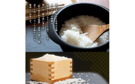 コシヒカリ 5kg 定期便 3回 令和8年産 米 こめ