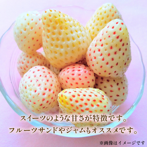 【先行予約】いちご 紅白いちご 食べ比べ 紅ほっぺ 白いちご ホワイトエンジェル 約270g×計4パック 約1kg以上 果物 フルーツ 土耕栽培 甘い 徳島県 阿波市 岩本いちご園