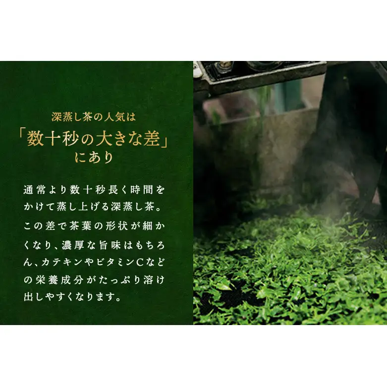 深蒸し煎茶ティーバッグ(40個入×2袋)〈お茶 茶 煎茶 緑茶 深蒸し茶 深むし 宇治 京都 ティーバッグ 加工食品〉 