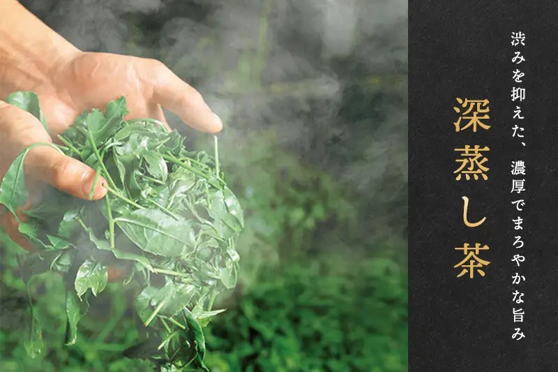 宇治抹茶入深蒸し煎茶2.1kg〈煎茶 お茶