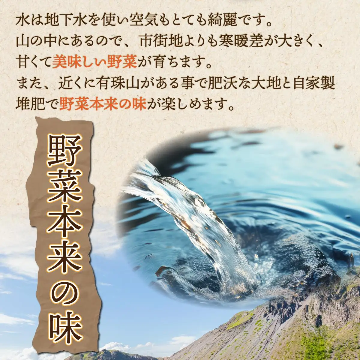 【 2026年 発送 】先行予約 北海道 じゃがいも 玉ねぎ 各5kg(計10kg) M-L混合 メークイン【55251004】