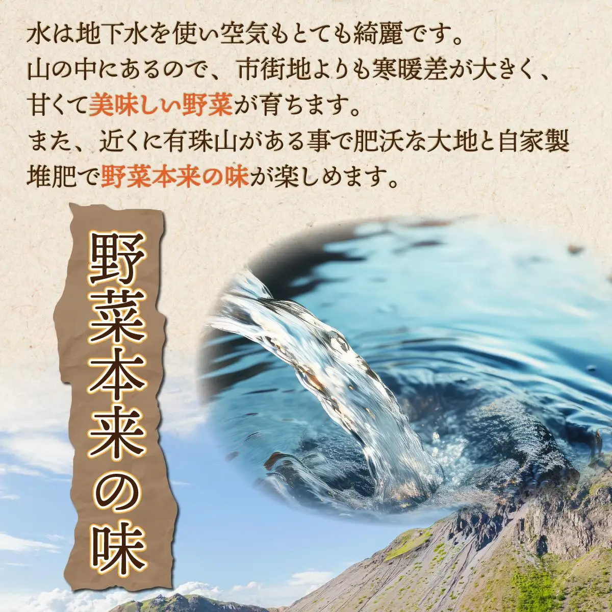 【 2026年 発送 】 先行予約 北海道 玉ねぎ 各2.5kg (計約5kg) M-L混合 北はやて アーリーレッド【55251005】