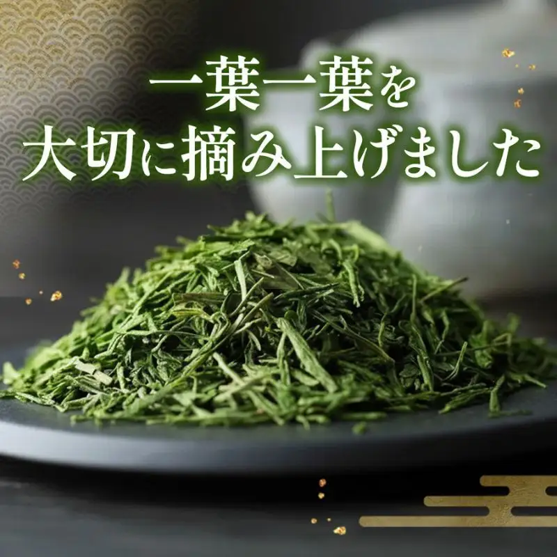 玉露 宇治玉露 手摘み 京都 玉露【100g】