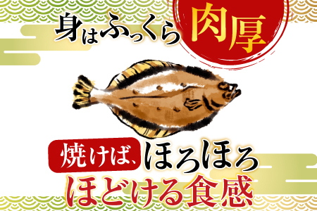 【北海道根室産】一夜干し宗八かれい12枚 G-14006