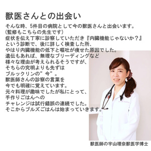 GC004_国産・保存料無添加のドッグフード・ボーンブロスたっぷり鹿ごはん【10個パック】