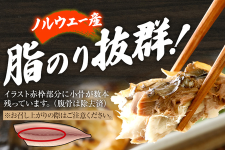 鯖 2枚×4P（約1kg） 塩焼鯖